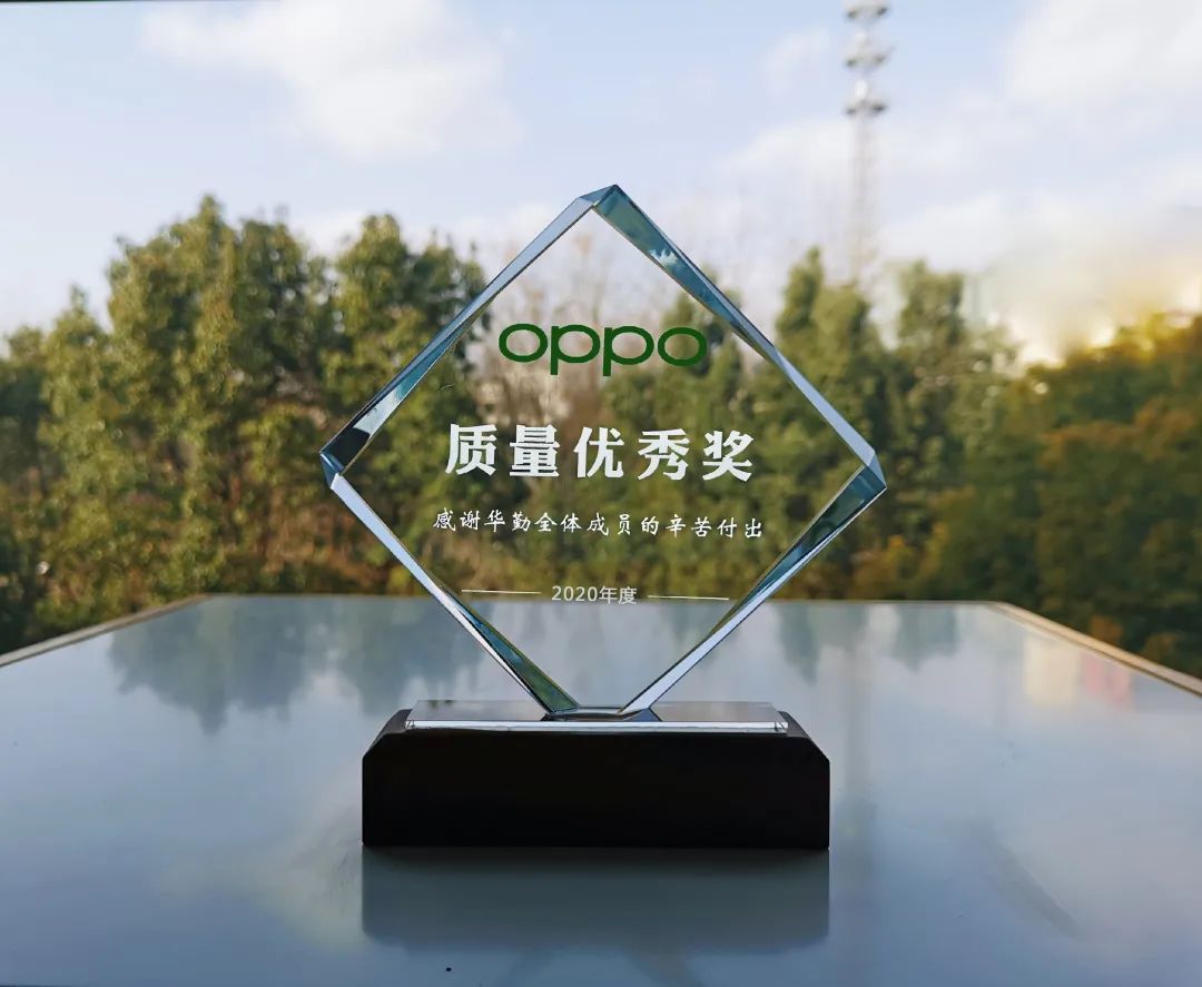 荣誉 | 再添一奖，真人体育赢得 OPPO 2020 年度质量“大满贯”
